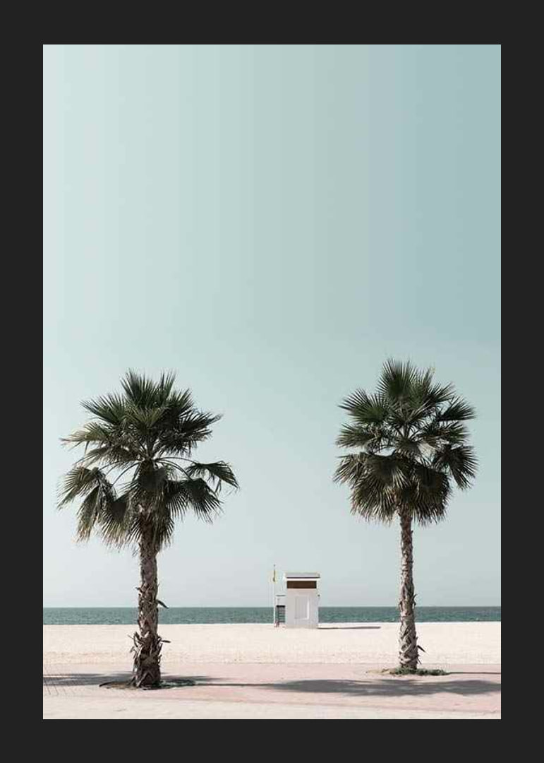 Vista fotográfica de duas palmeiras e torre de salva-vidas na praia-12