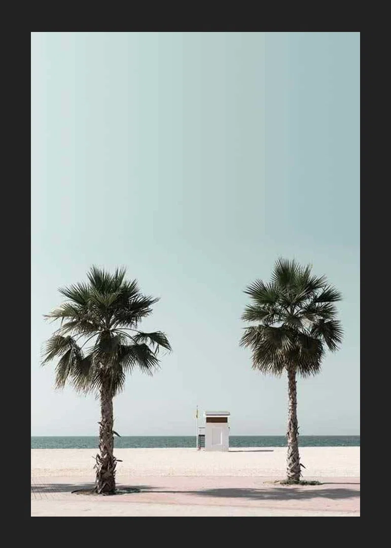 Photographic view of two palm trees and lifeguard tower at beach-12