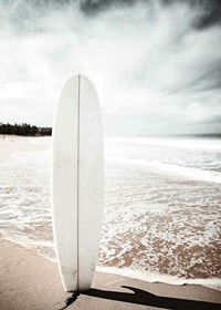 Photographic surfboard standing in the sand at the ocean's edge-7
