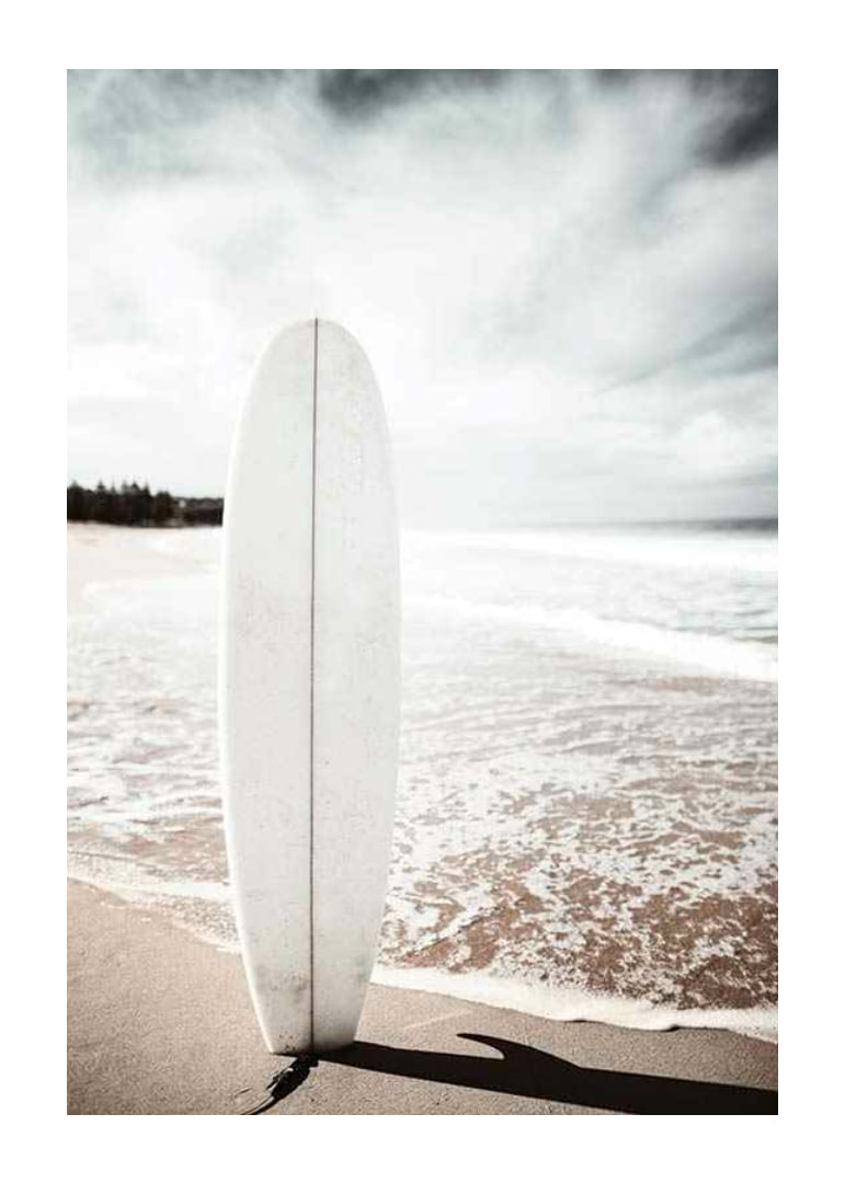 Photographic surfboard standing in the sand at the ocean's edge-12