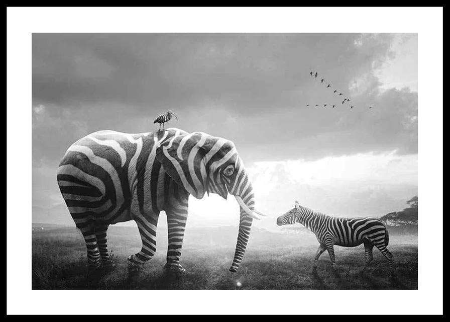 Svartvit elefant med zebraränder och zebra på savannen-12