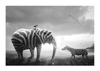 Black and white elephant with zebra stripes and zebra on the savannah-1
