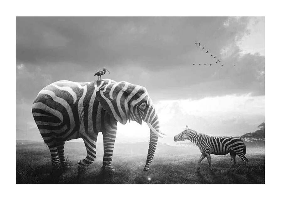 Svartvit elefant med zebraränder och zebra på savannen-12