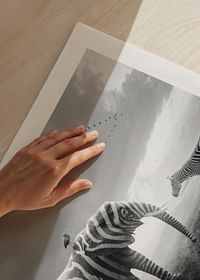 Zebraphant-5
