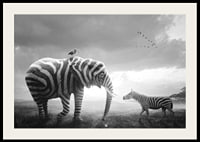 Black and white elephant with zebra stripes and zebra on the savannah-2