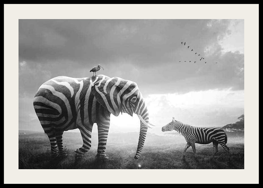 Black and white elephant with zebra stripes and zebra on the savannah-12
