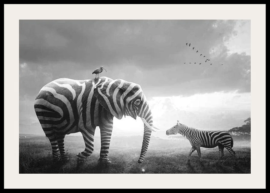 Svartvit elefant med zebraränder och zebra på savannen-12