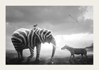 Black and white elephant with zebra stripes and zebra on the savannah-3