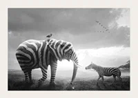 Svartvit elefant med zebraränder och zebra på savannen-3