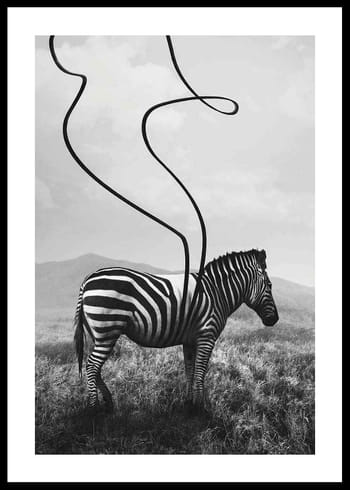 Poster Abstract Zebra