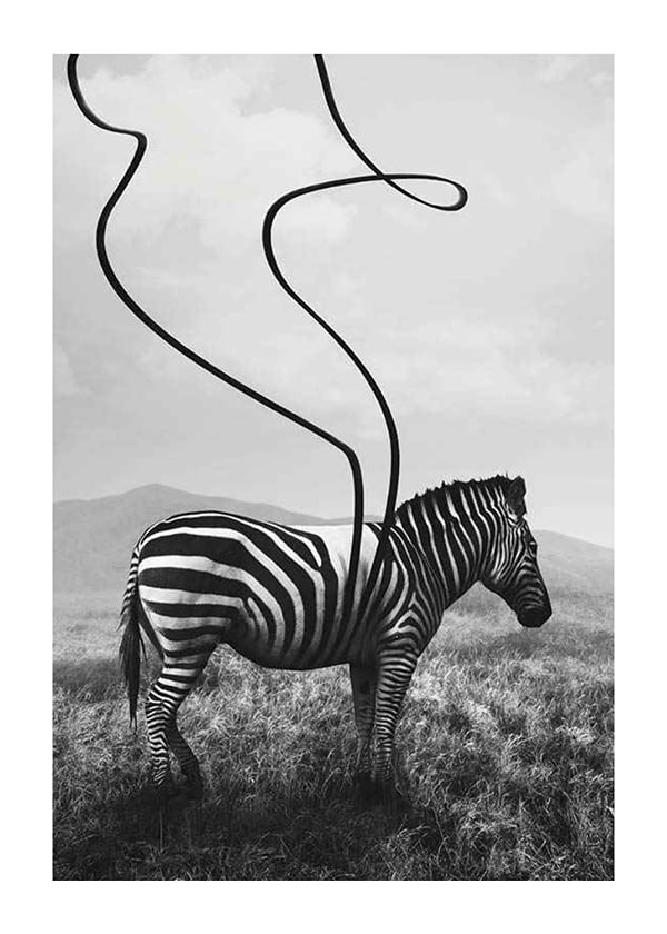 Póster Abstract Zebra