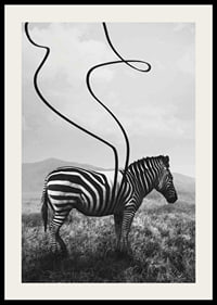 Cebra abstracta en blanco y negro con rayas extendidas contra el prado-2