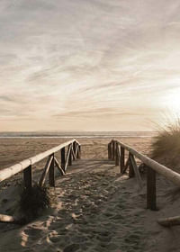 Path On Sand-3