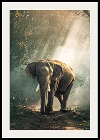 Photographic elephant in forest clearing with sunlight rays-2