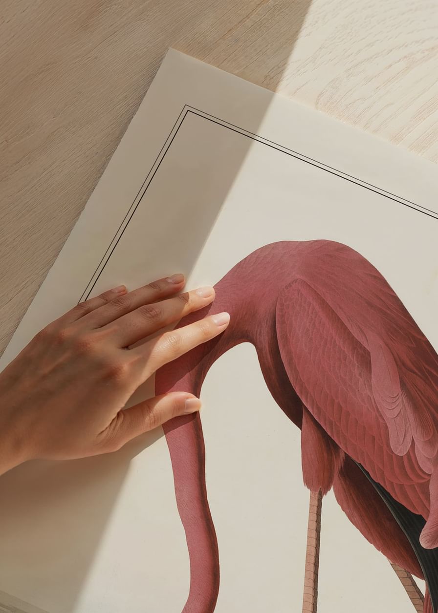 Flamingo 1827-12