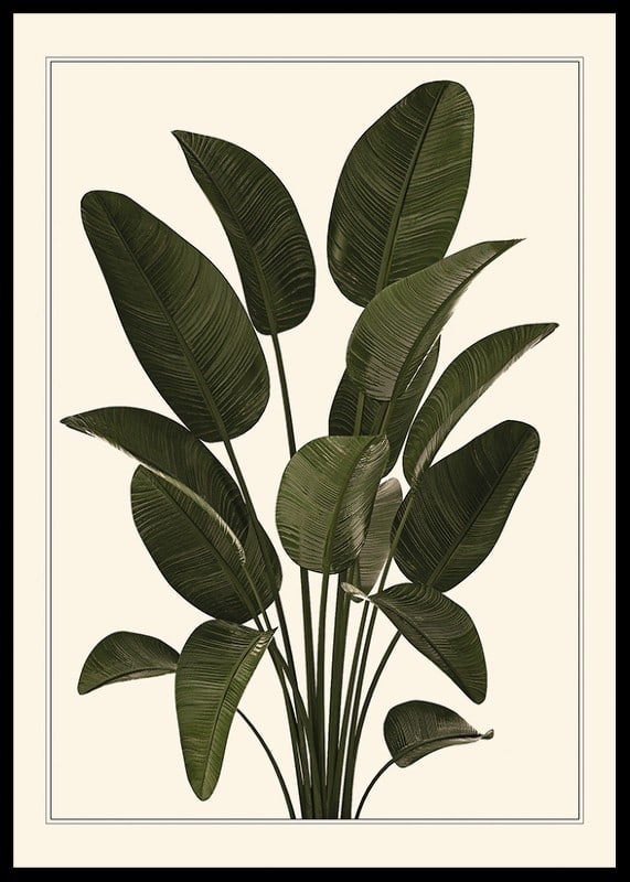 Illustration of large green strelitzia leaves against beige background-12