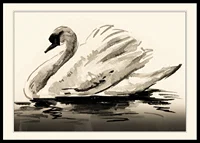 Watercolor illustration of mute swan in neutral gray tones-0