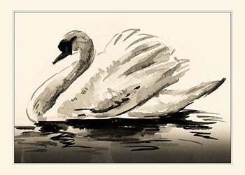 Poster The Swan