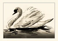 Watercolor illustration of mute swan in neutral gray tones-1
