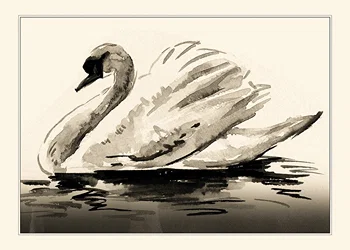 Poster The Swan