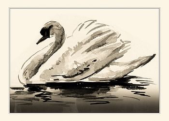 Póster The Swan