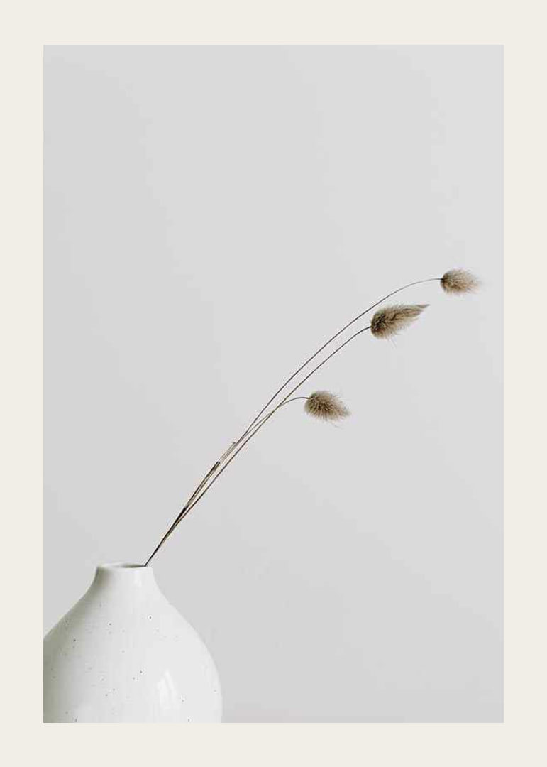 Photograph of dried blades of grass in white vase against light background-12
