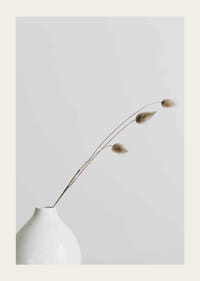 Photographie de brins d'herbe séchés dans un vase blanc sur fond clair-3