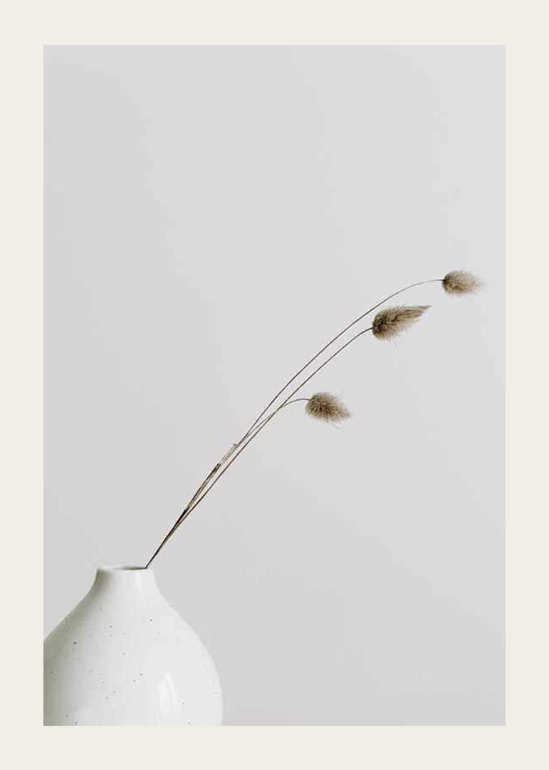 Photographie de brins d'herbe séchés dans un vase blanc sur fond clair-12