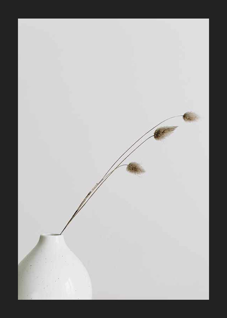 Photograph of dried blades of grass in white vase against light background-12