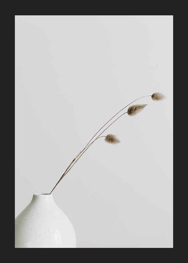 Photographie de brins d'herbe séchés dans un vase blanc sur fond clair-12