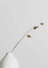 Photograph of dried blades of grass in white vase against light background-7