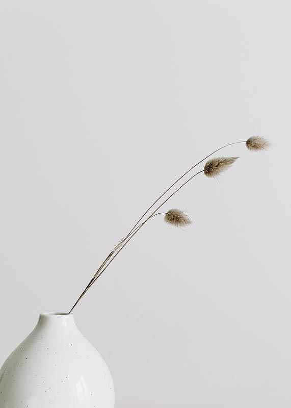 Photograph of dried blades of grass in white vase against light background-12