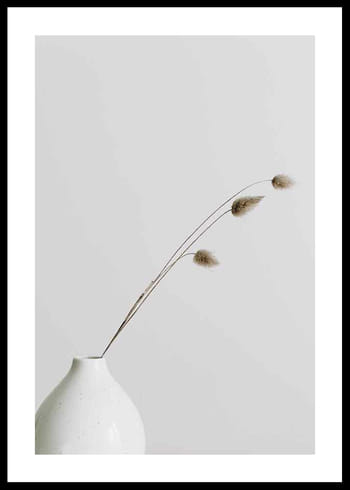 Plakat Dried Flower White Vase