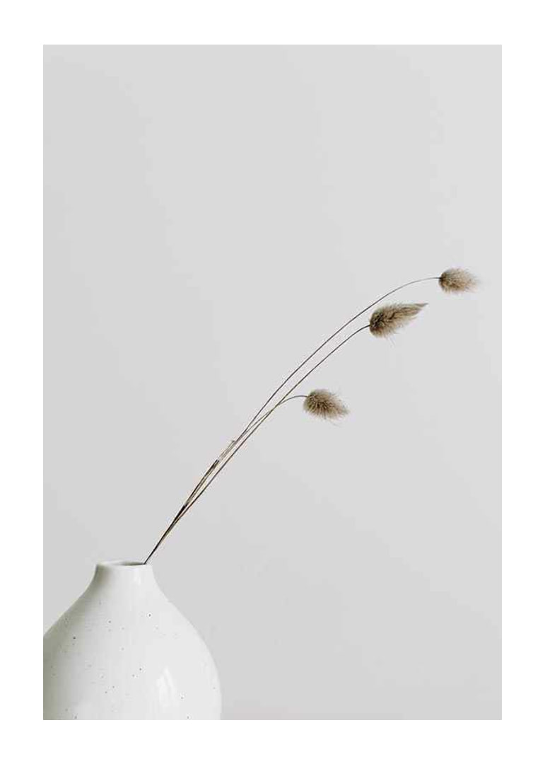Photograph of dried blades of grass in white vase against light background-12