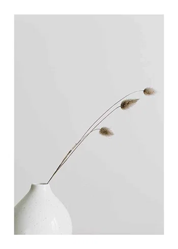 Poster Dried Flower White Vase