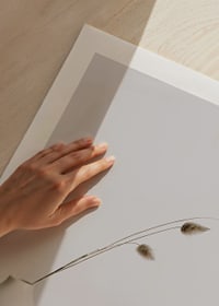 Photograph of dried blades of grass in white vase against light background-9