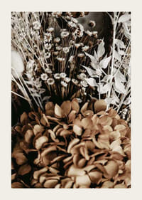 Džiovintų gėlių rudų ir smėlio atspalvių nuotrauka-3