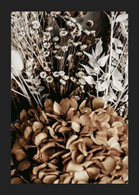 Fotografi av torkade blommor i bruna och beige toner-5