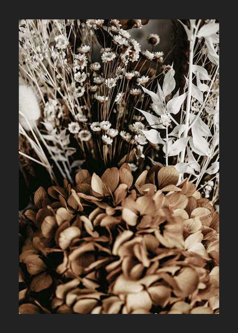 Džiovintų gėlių rudų ir smėlio atspalvių nuotrauka-12