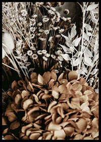 Fotografi av torkade blommor i bruna och beige toner-6