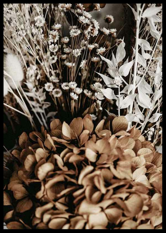 Fotografi av torkade blommor i bruna och beige toner-12