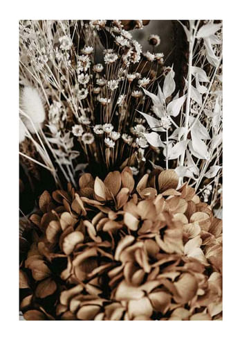 Plakatas Dried Bouquet No2