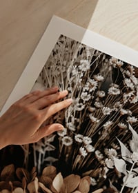 Fotografi av torkade blommor i bruna och beige toner-9