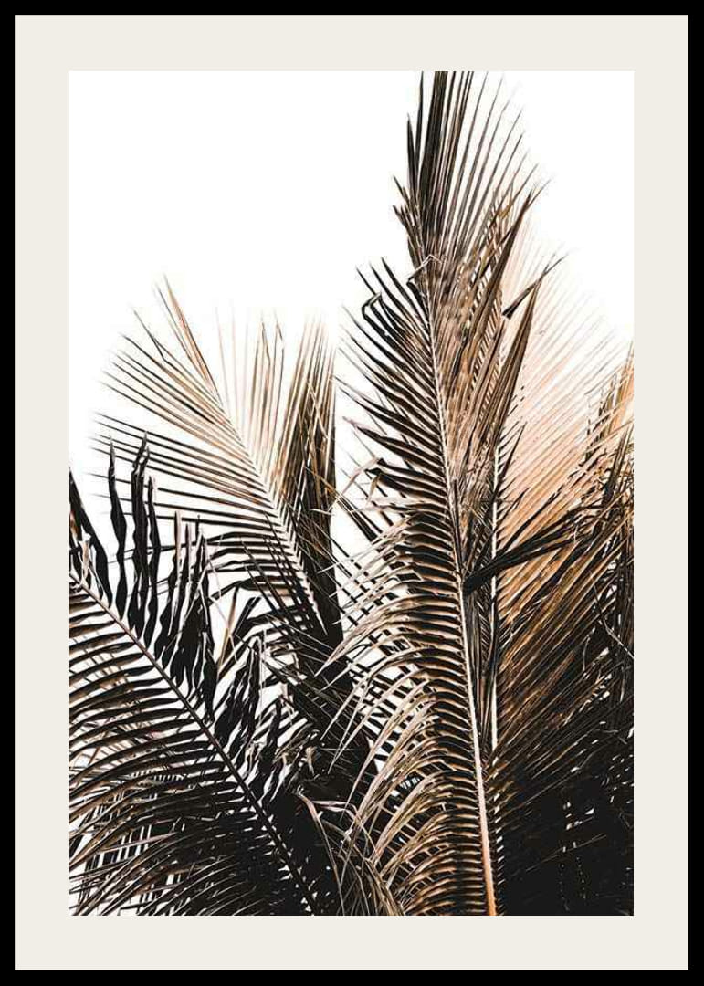 Foto van palmbladeren in bruine en beige tinten tegen een witte achtergrond-12