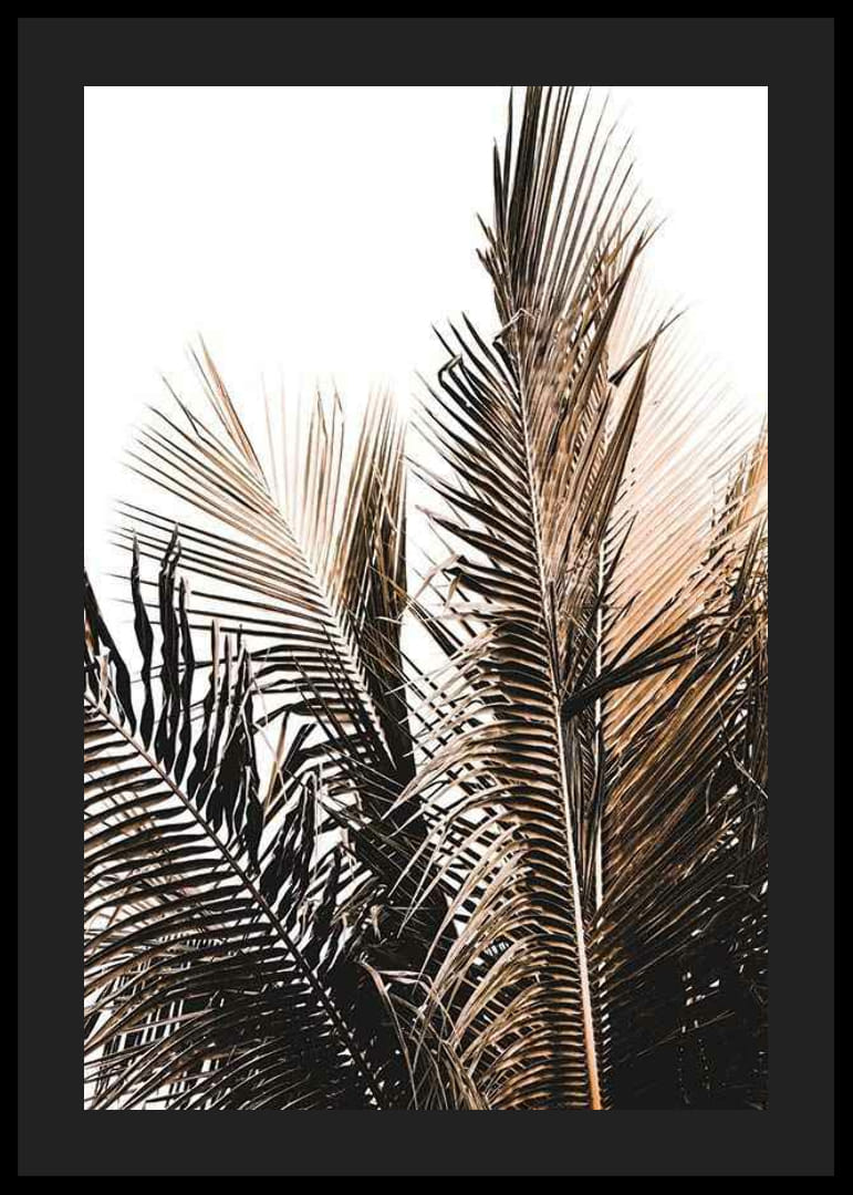 Foto van palmbladeren in bruine en beige tinten tegen een witte achtergrond-12