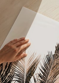 Fotografi av palmblad i bruna och beige nyanser mot vit bakgrund-9