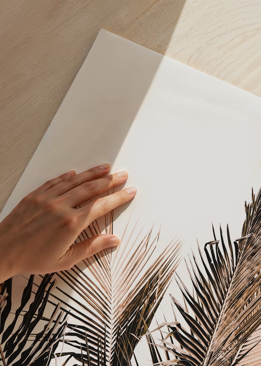 Fotografi av palmblad i bruna och beige nyanser mot vit bakgrund-12