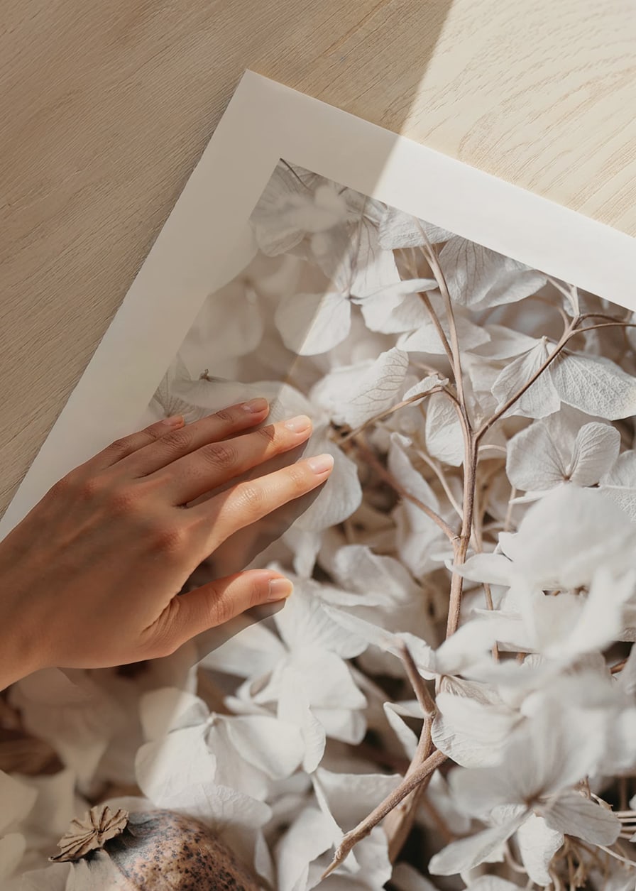 Photograph of dried white hydrangea flowers and seed pod-12