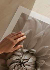 Autumn Dahlia-5