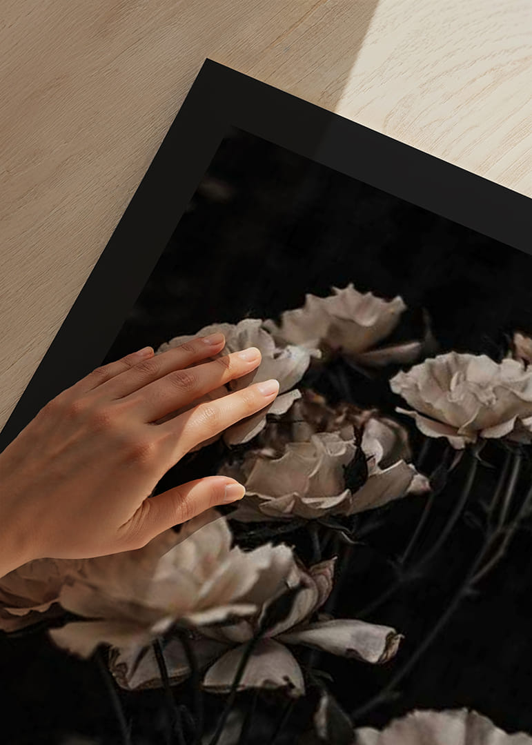 Rose bianche in primo piano su sfondo scuro, fotografico-12